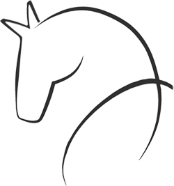 Logo Grün Kontakt