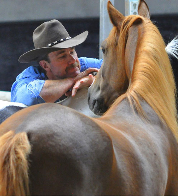 Traumatherapie mit Pferden